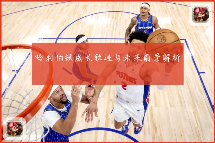 哈利伯顿成长轨迹与未来前景解析