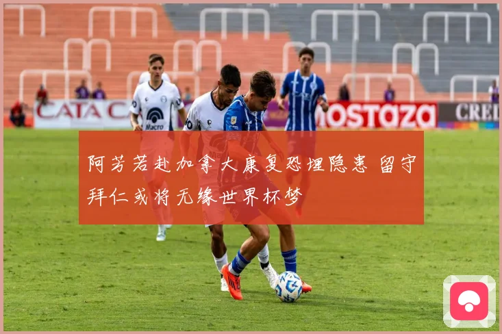 阿芳若赴加拿大康复恐埋隐患 留守拜仁或将无缘世界杯梦