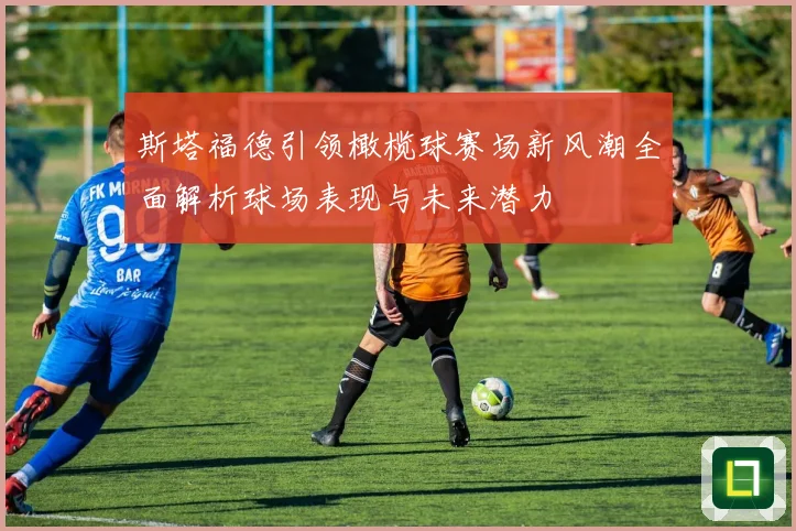 斯塔福德引领橄榄球赛场新风潮全面解析球场表现与未来潜力