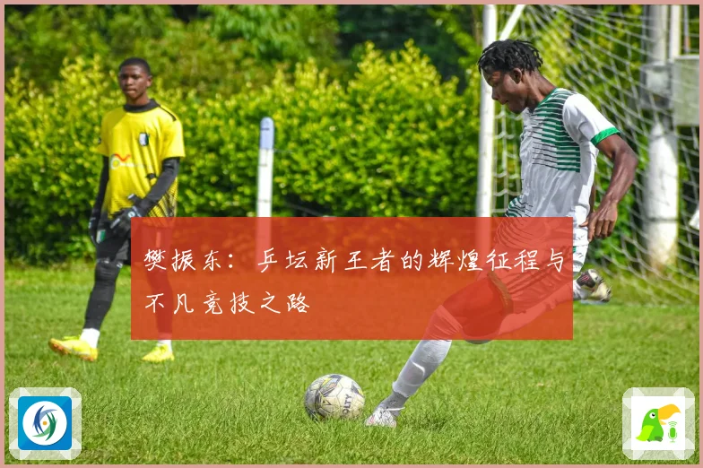 樊振东：乒坛新王者的辉煌征程与不凡竞技之路